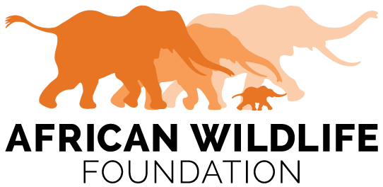 African Wildlife Foundation